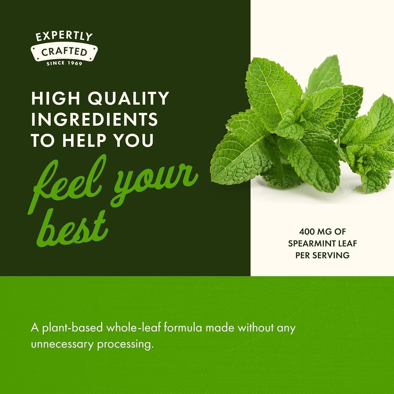 Spearmint Leaf Full Spectrum Digestive Supplement