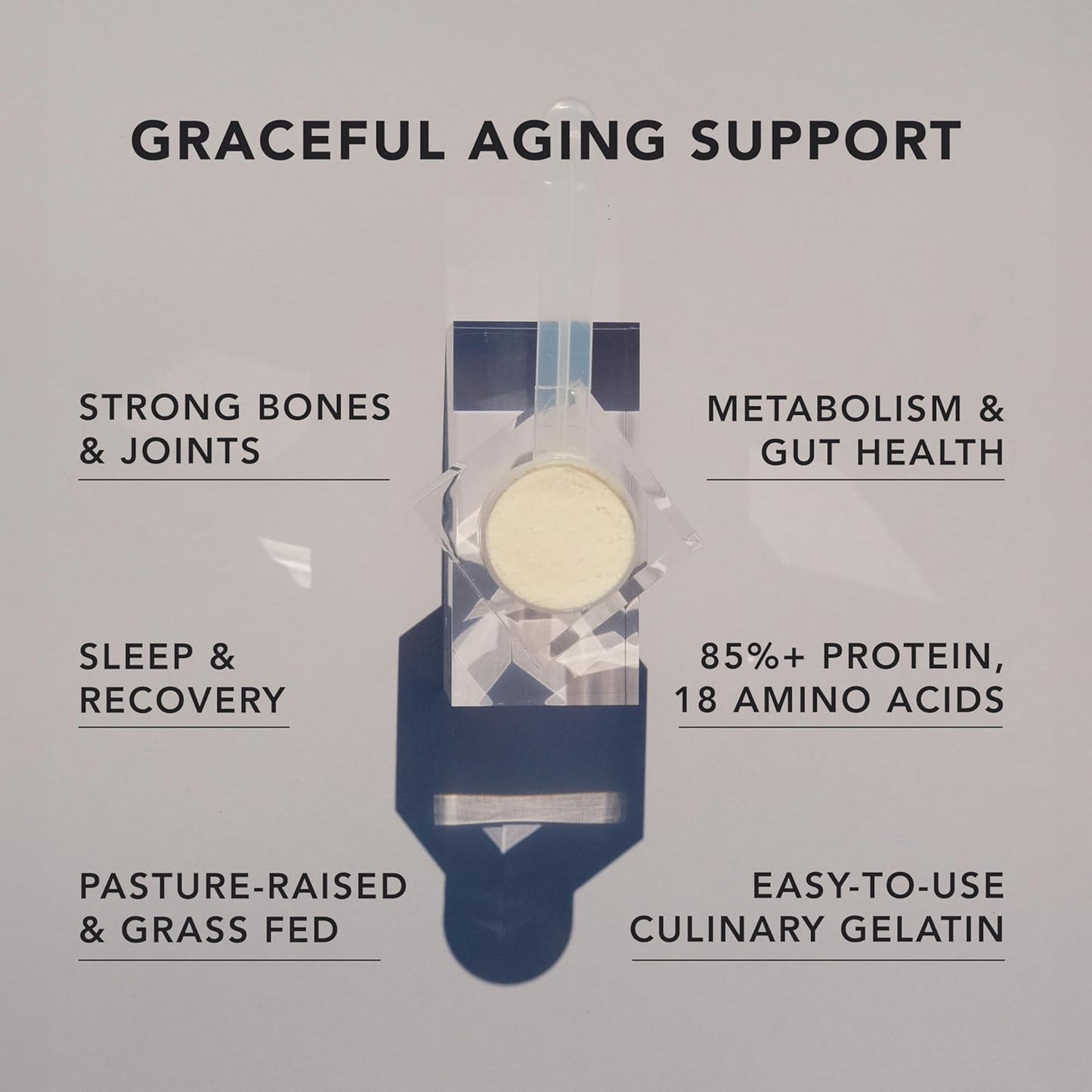 Premium Gelatin Powder
