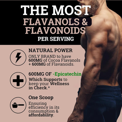 High Flavanol Cocoa Powder
